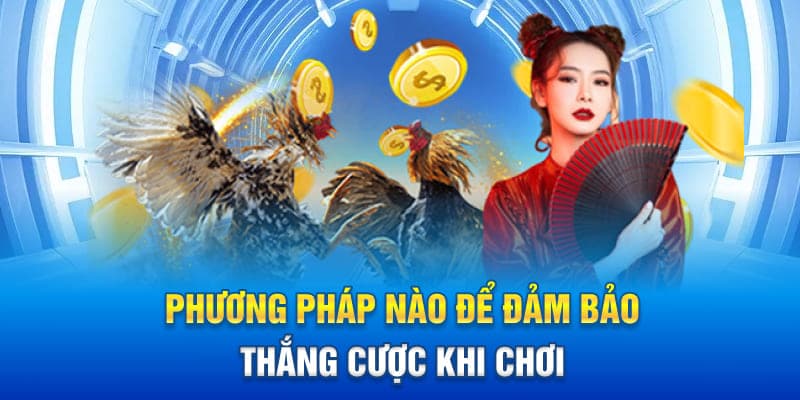 Phương pháp nào để đảm bảo thắng cược khi chơi